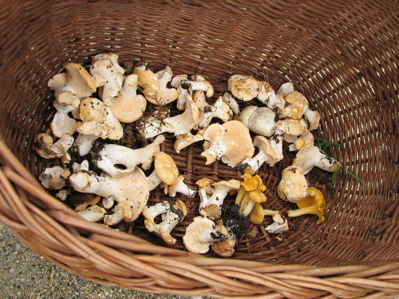 2011 09 04 Sortie Myco Croix Pater 19